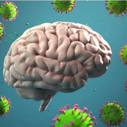  تأثير الإصابة الخفيفة بفيروس كورونا على الدماغ