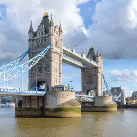 جسر البرج هو جسر معلق في لندن