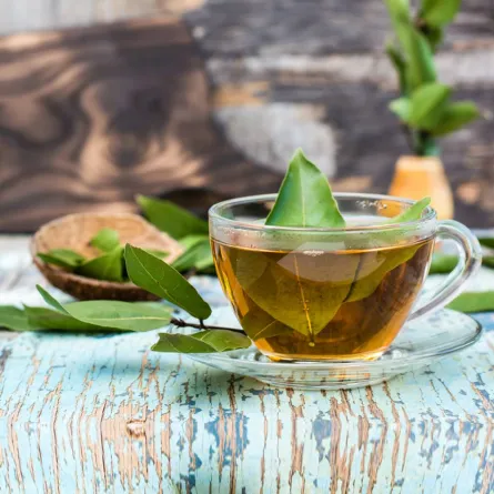 فوائد ورق الغار الصحية