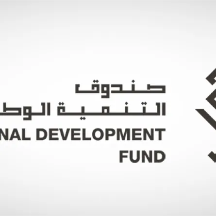 صندوق التنمية الوطني