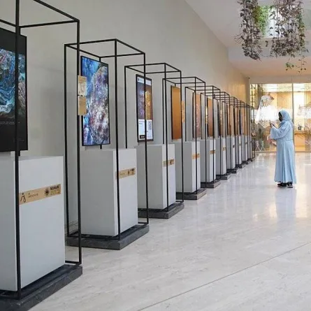 جناح المملكة