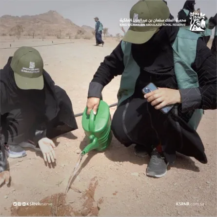 محمية الملك سلمان الملكية تطلق حملة "اترك أثرا" لزراعة 3000 شتلة في حائل - الصورة من حساب المحمية على تويتر