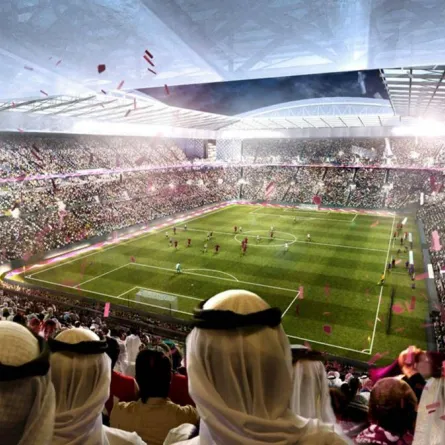 صورة  مشجعي كرة القدم