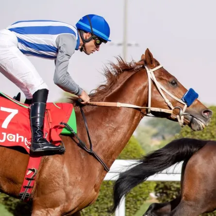 الجياد كاسبر ومشاركته في سباق دبي - الصورة من حساب كأس السعودية