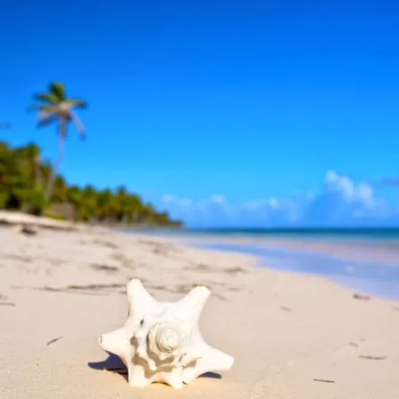 أسباب تجعل الشاطئ أفضل الخيارات لقضاء العطلة