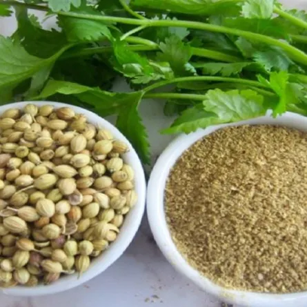 فوائد مذهلة للكزبرة الجافة