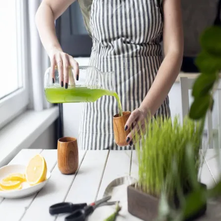 عصير عشبة القمح