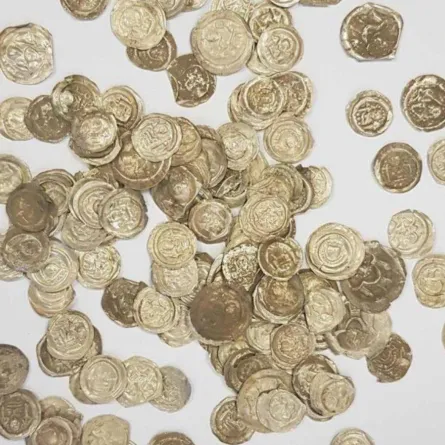 الكنز الذي عثر  عليه- الصورة من صفحة محافظ الآثار في مقاطعة سيليزيا على الفيسبوك