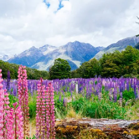 أجمل الحدائق الوطنية لرحلات استكشافية