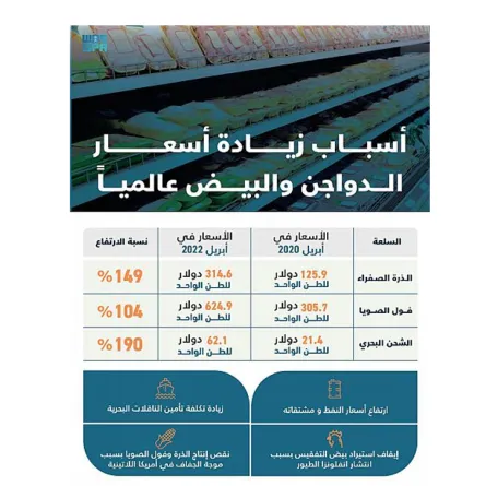 أسباب زيادة أسعار الدواجن - الصورة من واس