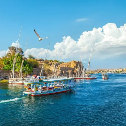 نصائح عند السفر إلى مصر