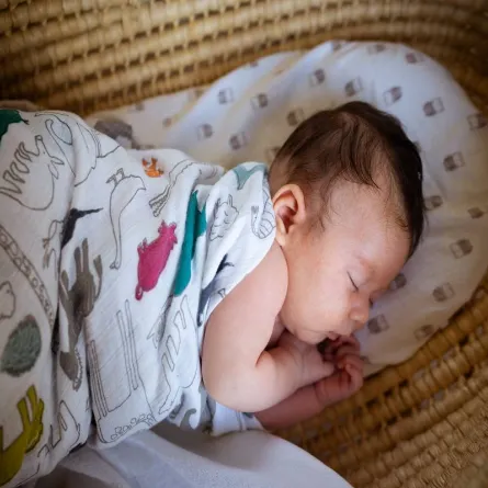 صورة لطفل نائم