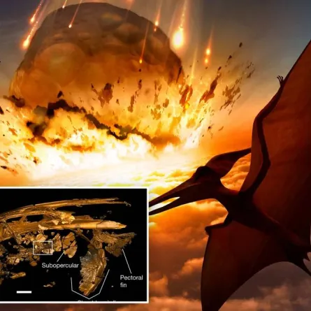  علماء يكشفون سبب انقراض الديناصورات