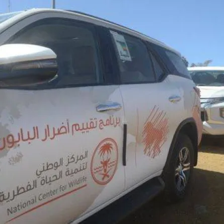 فرق ميدانية من الحياة الفطرية تبدأ مسح ميداني للمناطق المتضررة من قرود البابون