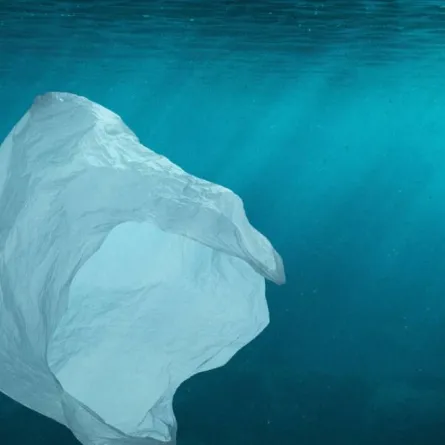 حظر استخدام الأكياس البلاستكية في أبوظبي اعتبارا من يونيو المقبل - الصورة من الموقع الإلكتروني للمكتب الإعلامي لحكومة أبوظبي