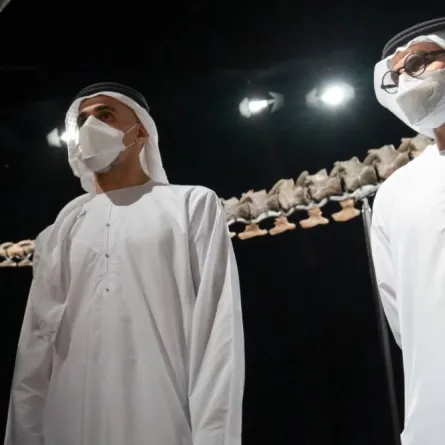 التيرانوصور ستان يعود إلى الحياة في جزيرة السعديات في أبوظبي - الصورة من وام