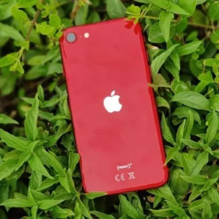 أكتشف الفرق بين هاتفى iPhone SE 2022 وiPhone 7 