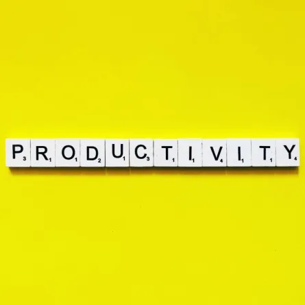 الإنتاجيّة في العمل