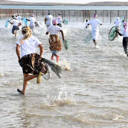 مهرجان سمك الحريد 2021