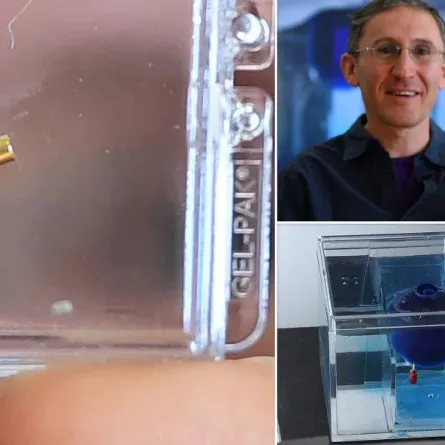 صورة الروبوت المصغر