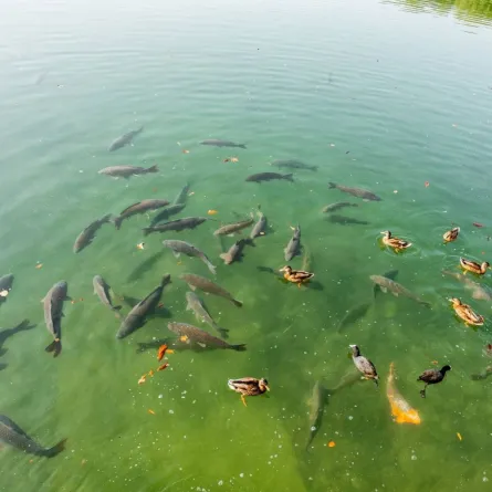 صورة تعبيرية