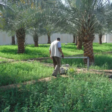 حماية المياه الجوفية في أبوظبي. الصورة من "وام"