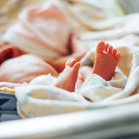 صورة لمولود