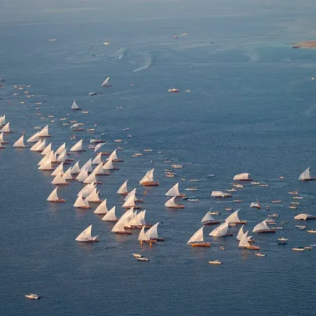 سباق دلما. الصورة من "وام"