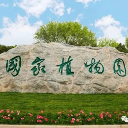 صورة الحديقة النباتية في الصين