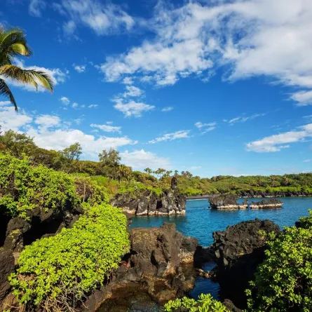 متعة السياحة في ماوي