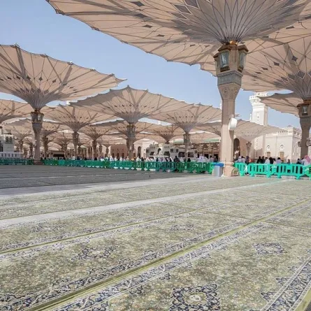 (25,000) سجادة في المسجد النبوي. الصورة من "واس"