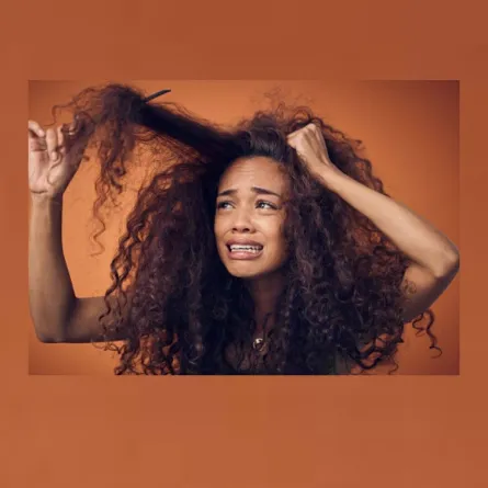 القمل في الشعر