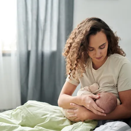 صورة لأم ترضع مولودها