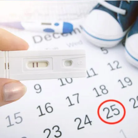 صورة لتقويم واختبار حمل