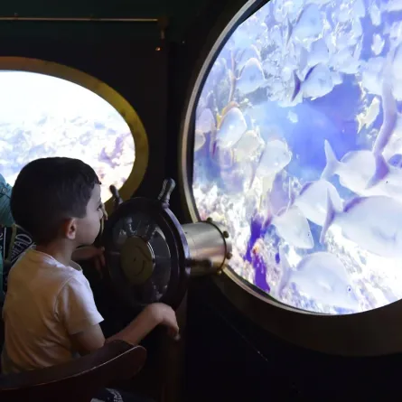 كون كونك. الصورة من "وام"