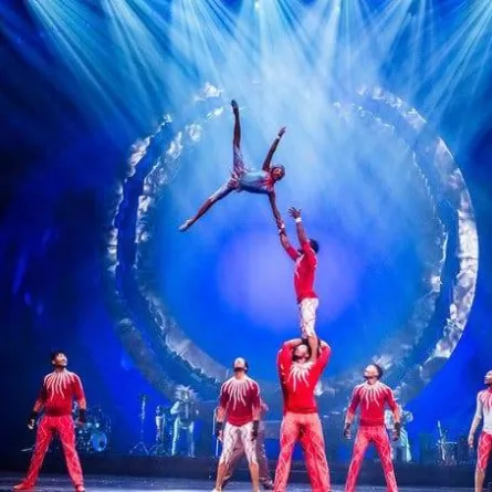 عروض السيرك المبهره