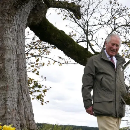 الأمير تشارلز