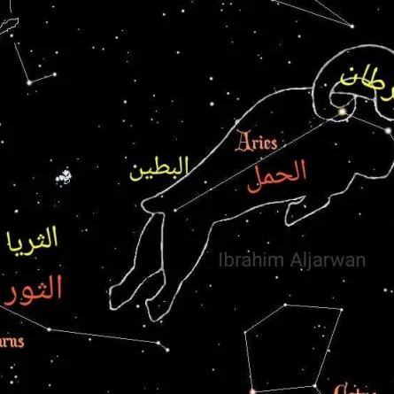 صورة توضيحية للشرطين. الصورة من "وام"