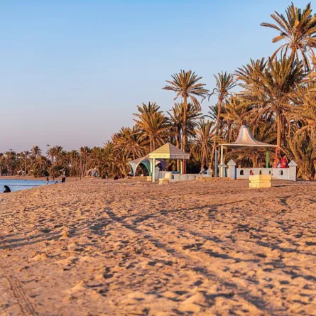 أملج مالديف السعودية 