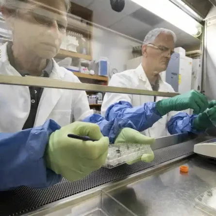 صورة العلماء في معمل التجارب