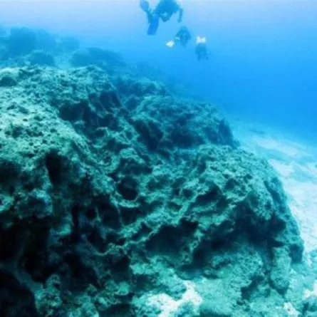 اكتشاف غريب للعلماء في قاع المحيط