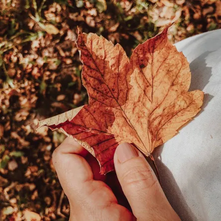 صورة تعبيرية عن ألوان إفرازات الرحم