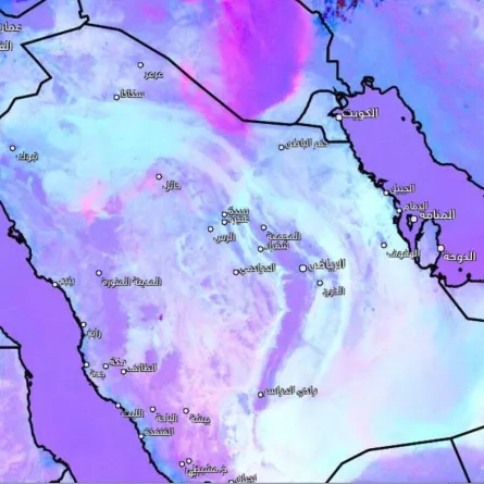 الغبار الزهري
