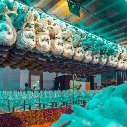 عودة تجارب عالمية وعروض فنية ترفيهية وبحرية بموسم جدة 2022