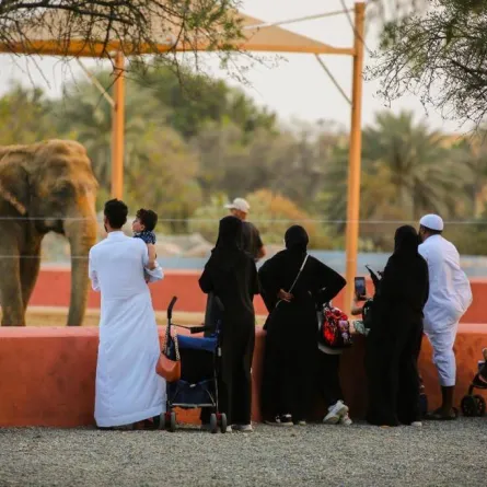 إن كنت من محبي السفاري  تعرف على منطقة جدة