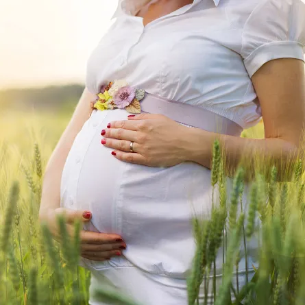 أسابيع الحمل بالتفصيل