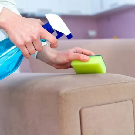 طرق متبعة في نزع العفن عن المفروشات 