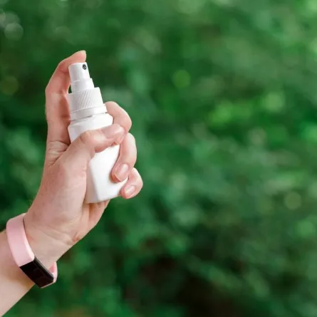 مواد فعّالة في القضاء على حشرات المنزل، صيفًا