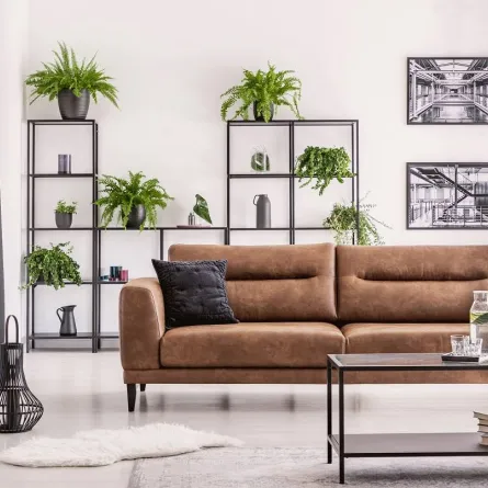 ديكورات مستلهمة من الطبيعة