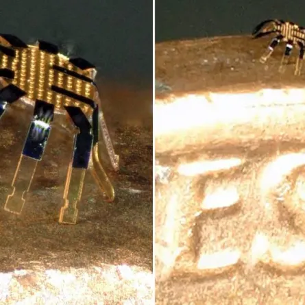 أصغر روبوت على شكل سلطعون - الصورة من skynews